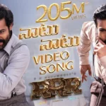 Naatu Naatu Song Lyrics