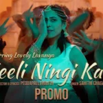Neeli Ningi Kallu Song Lyrics