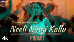 Neeli Ningi Kallu Song Lyrics