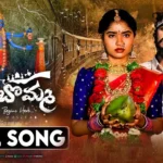 Pallakilo Puttadi Bomma Song Lyrics
