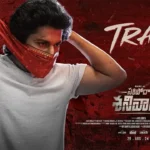 Saripodhaa Sanivaaram Movie